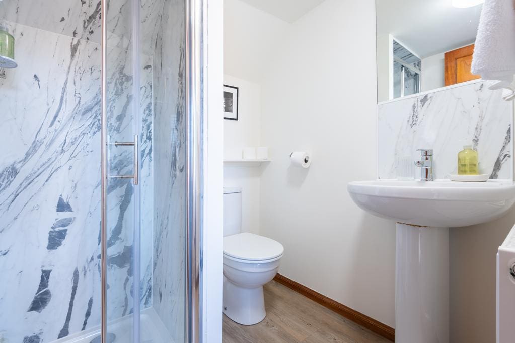 CUP1460SEG ENSUITE SHOWER ROOM.jpg