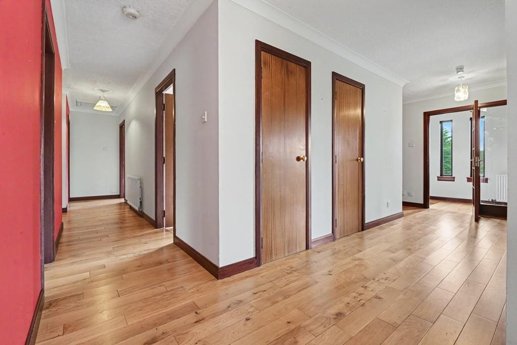 CUP1462SEG HALLWAY.jpg